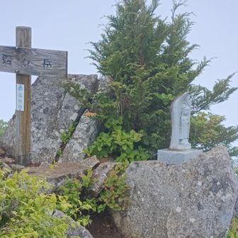 晴れてれば富士山🗻が見えるそうです😭
