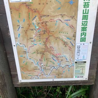 案内図があり、自分がどこにいるか分かり、とても助かります