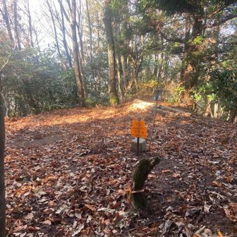 山頂、風景は残念😢