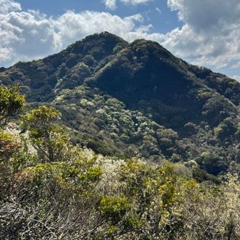 沼津アルプスのボス（勝手にそう呼んでる）鷲頭山を望む。