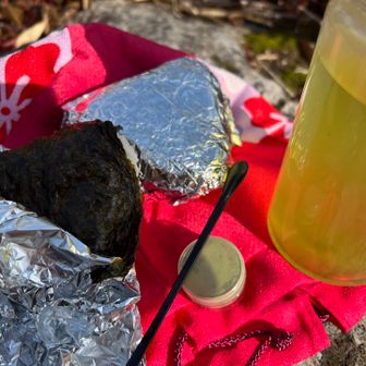 トリトンの粉末緑茶🍵にハマってます
金は無くともトリトン🍣気分