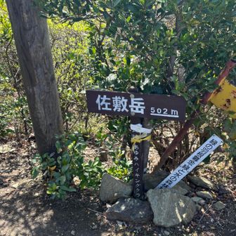 佐敷岳山頂
ここも眺望無しですが
降った先に