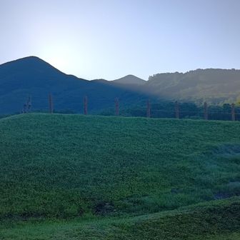 登山口から山頂方面