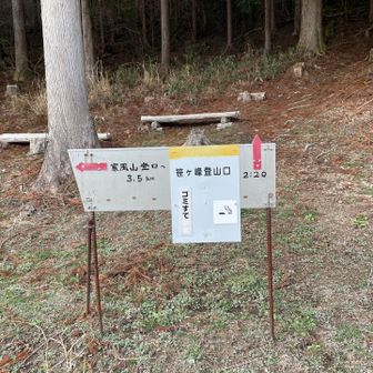 笹ヶ峰登山口に到着
少し休憩してロードで戻る
