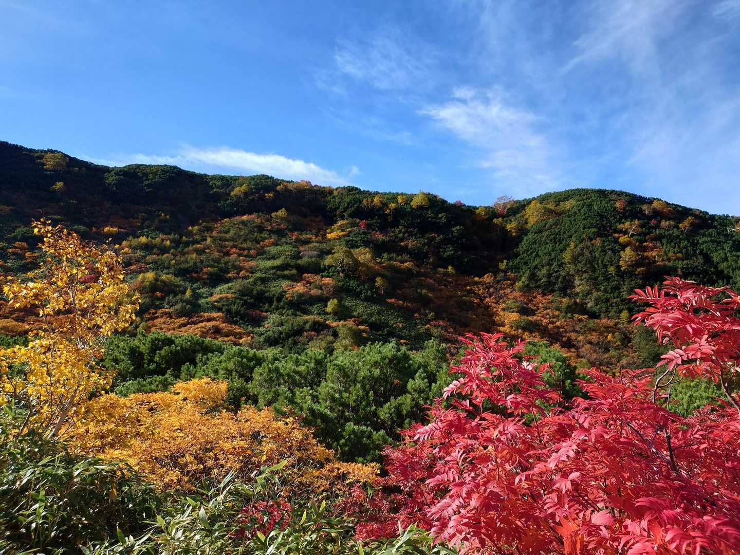美しい🍁✨