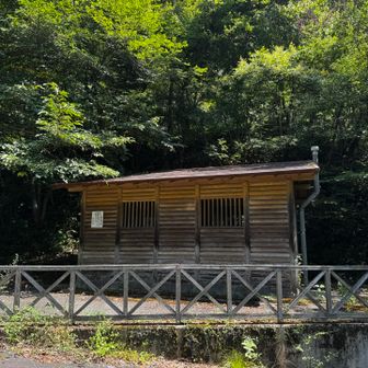 トイレもあります🚻