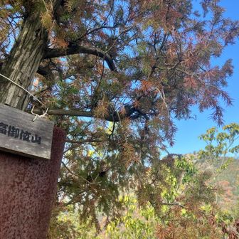 Mt.小高御位山185m