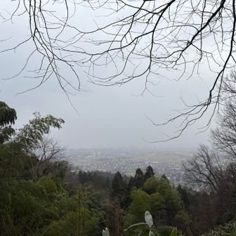 山の方は見事な白さに…