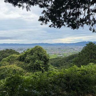 ながめ坂より