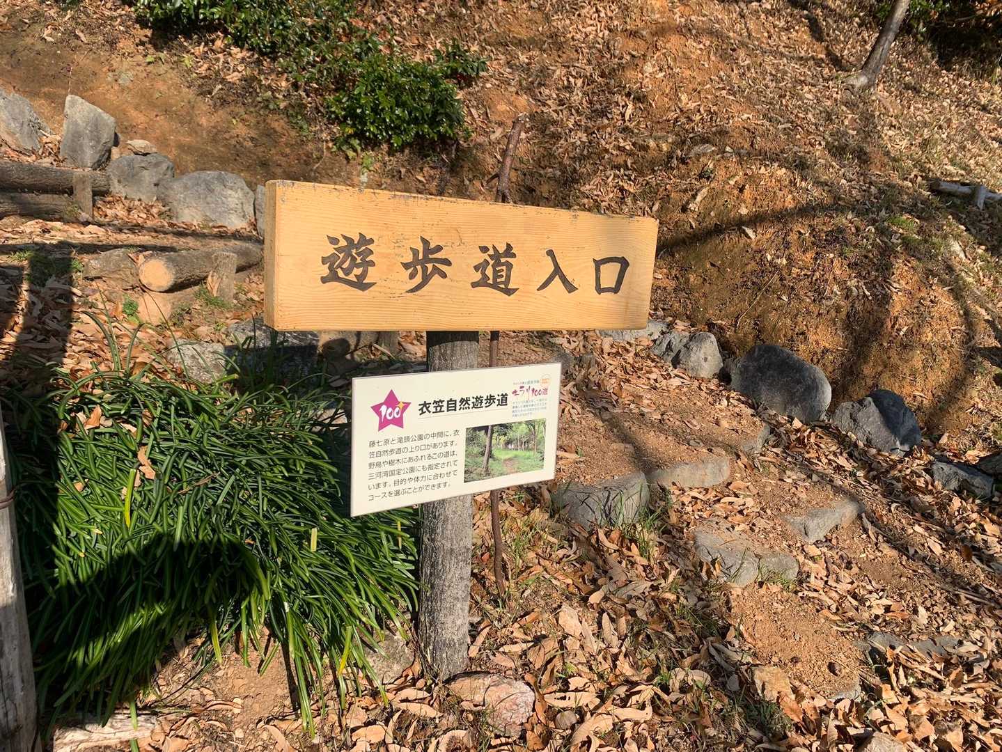 わかりやすく整備されています