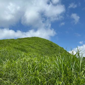 そして山頂への道。
天気も良くて気分も良いです
