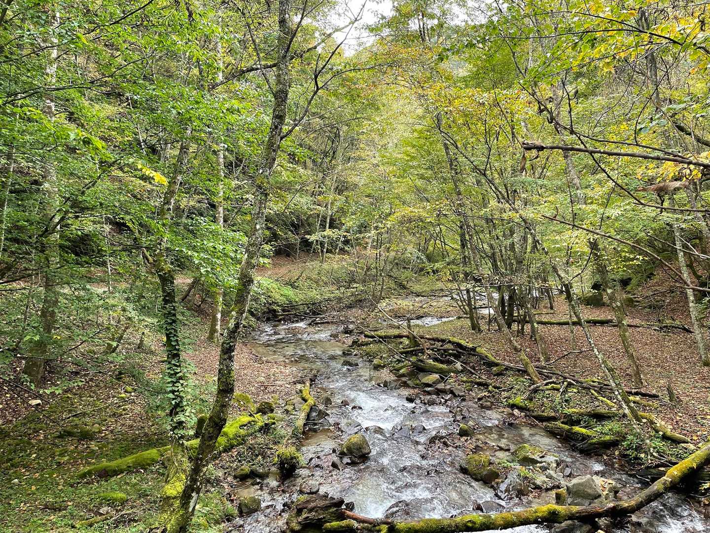 西沢渓谷入口バス停-木賊山 縦走コースの写真