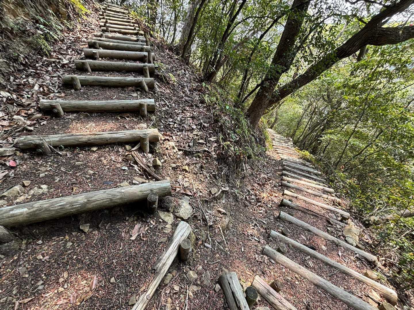 臥龍山 周回コースの写真
