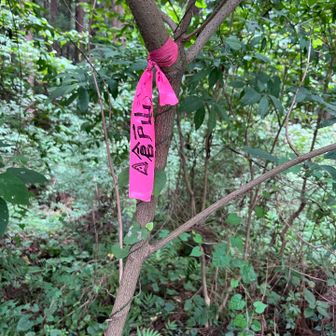 このルートは三回目だけど、倉戸山は初登頂。