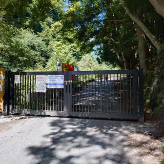 やっと下山。
3日とも晴れ。こんな事めったにない最高の山登りでした。
