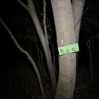 登り始めてすぐ影山