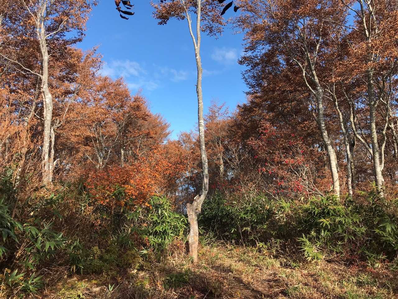 兜山（石川県小松市）の写真