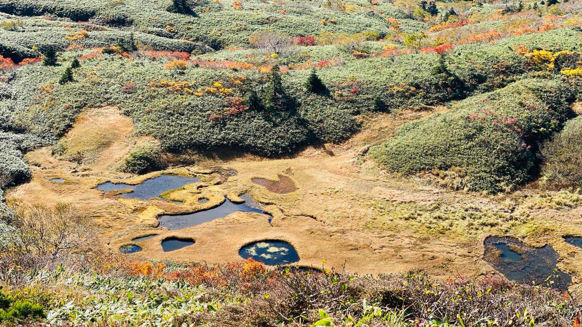 烏帽子岳登山口-烏帽子岳-平ヶ倉登山口 縦走コースの写真