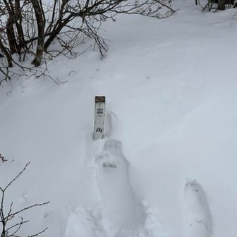 三角点は頭だけ