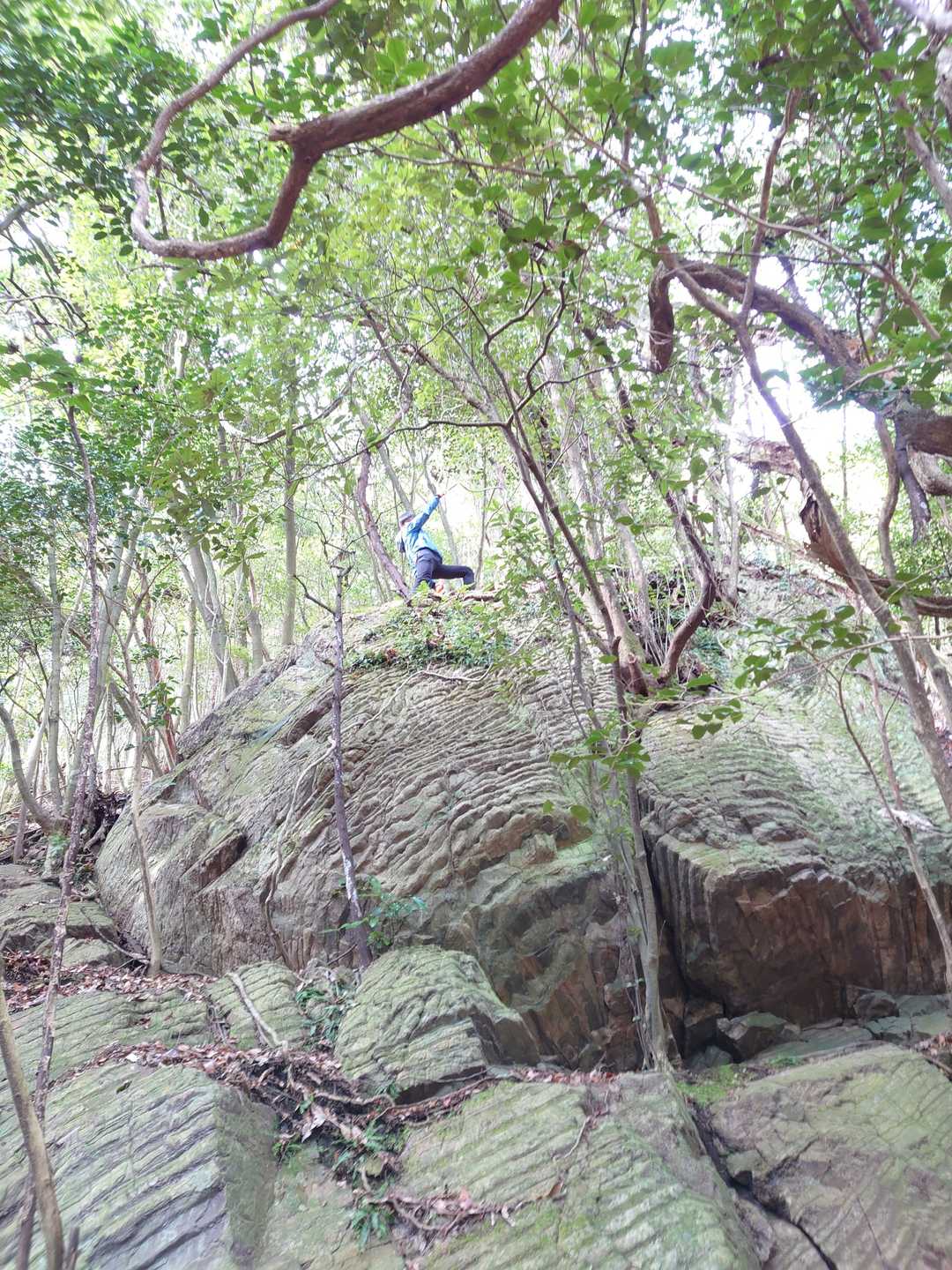 登りたがる人〰①