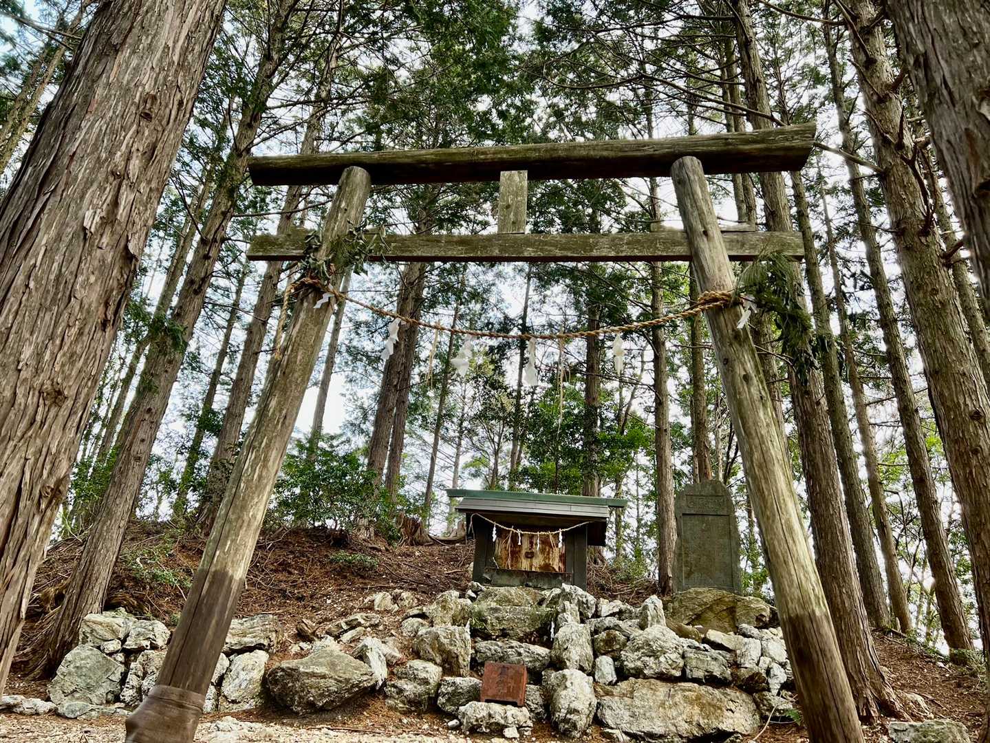 神社があります。
神社の裏に山頂があります