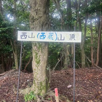 西山（西蔵）山頂　🥳