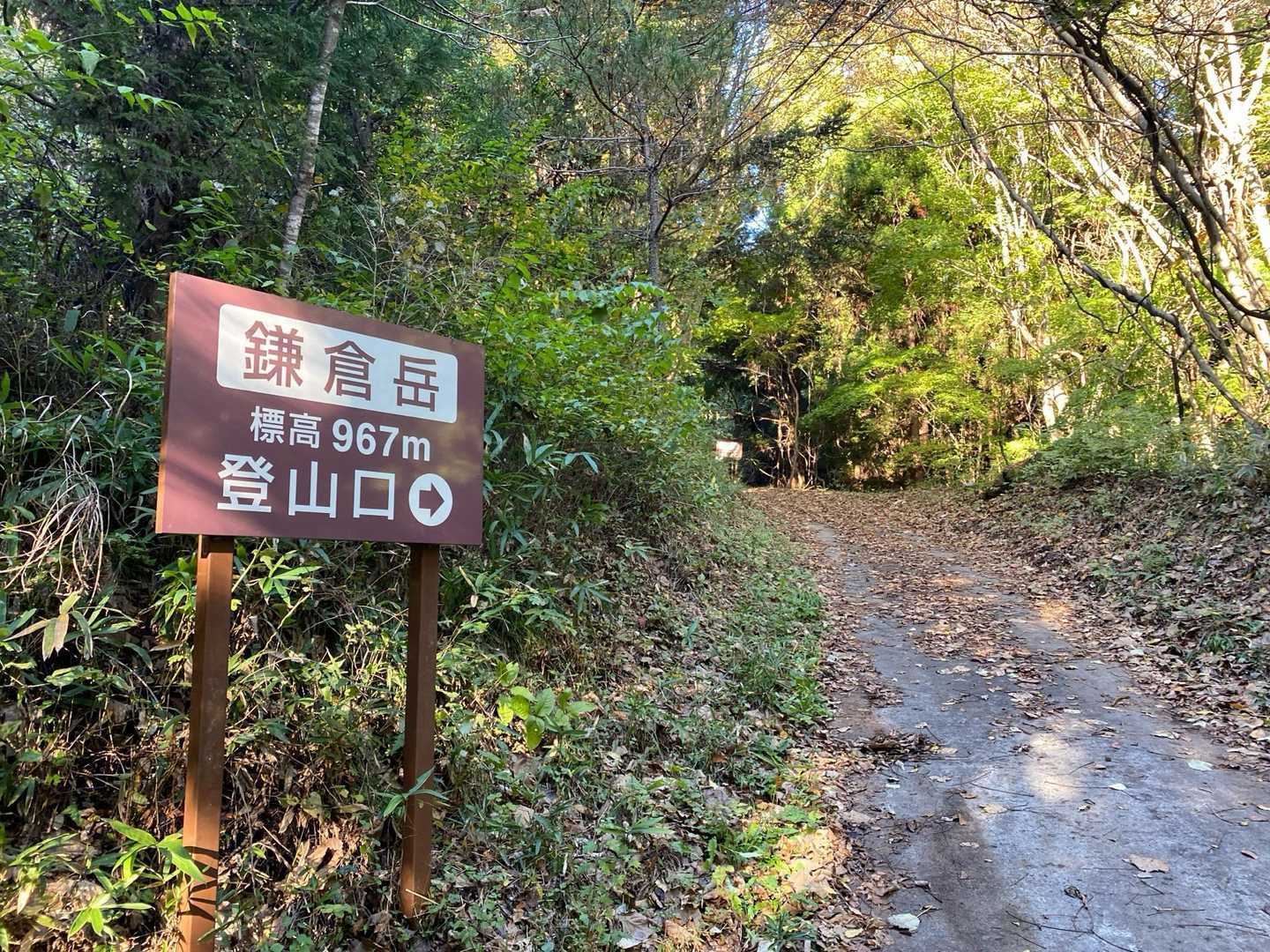 沿岸の方で967mなら、割と標高高い方か❓
筑波山よりは高いですからね🤣