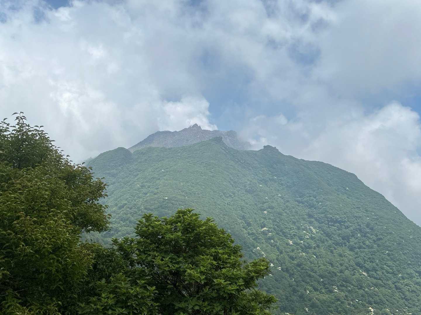 新山見えました 😄