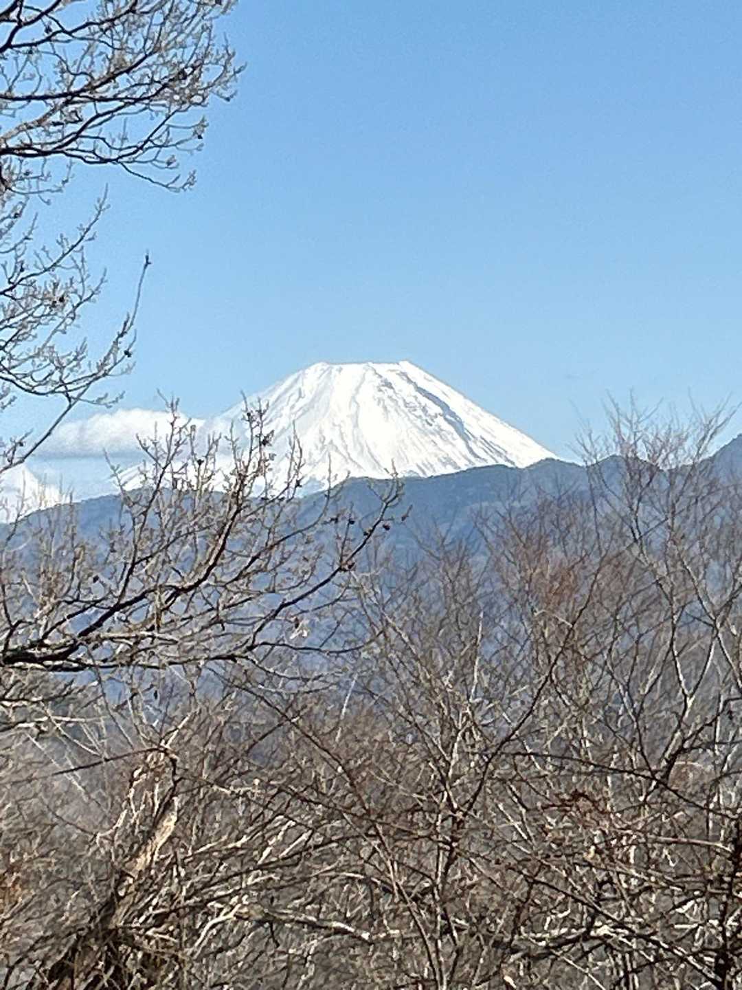 途中、富士山🗻を確認