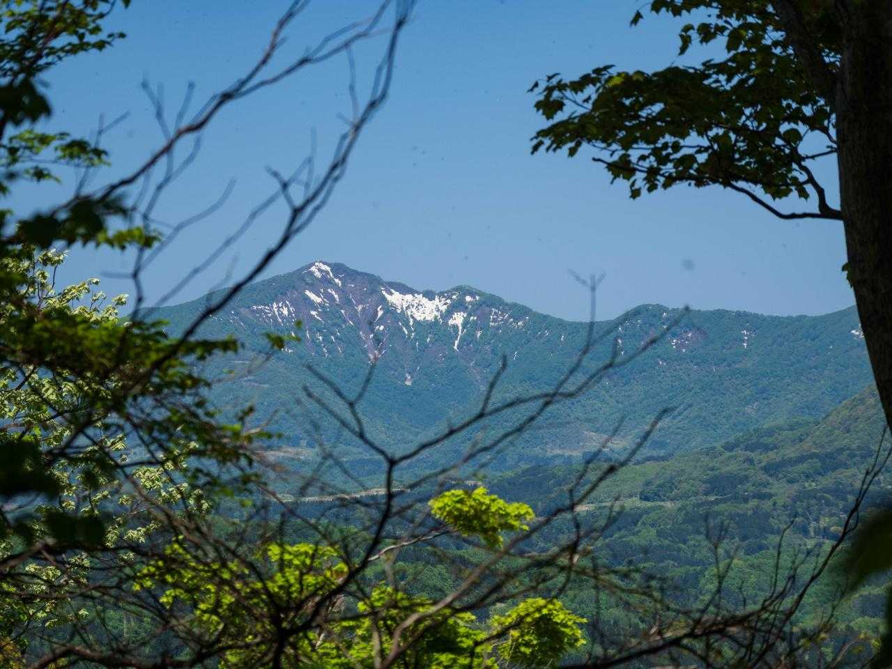米山、ここも登ってみたい