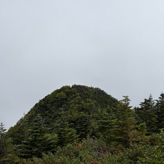 笊ヶ岳からの小笊ヶ岳