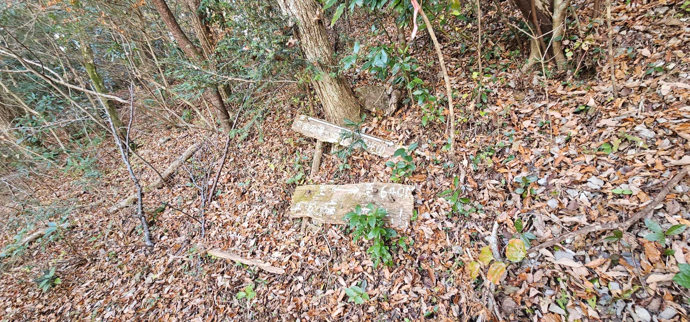 こちらの案内板もだいぶんくたびれてきたな…