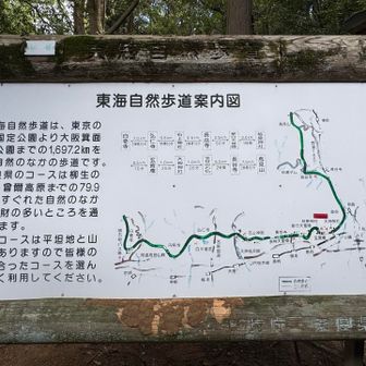 案内図✨奈良のコースは79.9キロ？？　
「東海自然歩道」すごいです‼️