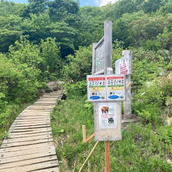 お邪魔しました、楽しい山行でした。
この後、今日のミッション番外編:ソフトクリームを食べるも完遂😋
お疲れ様でした。