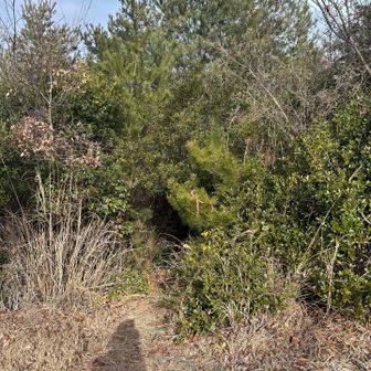 熊鷹山方面から登るとここに出てくるようです