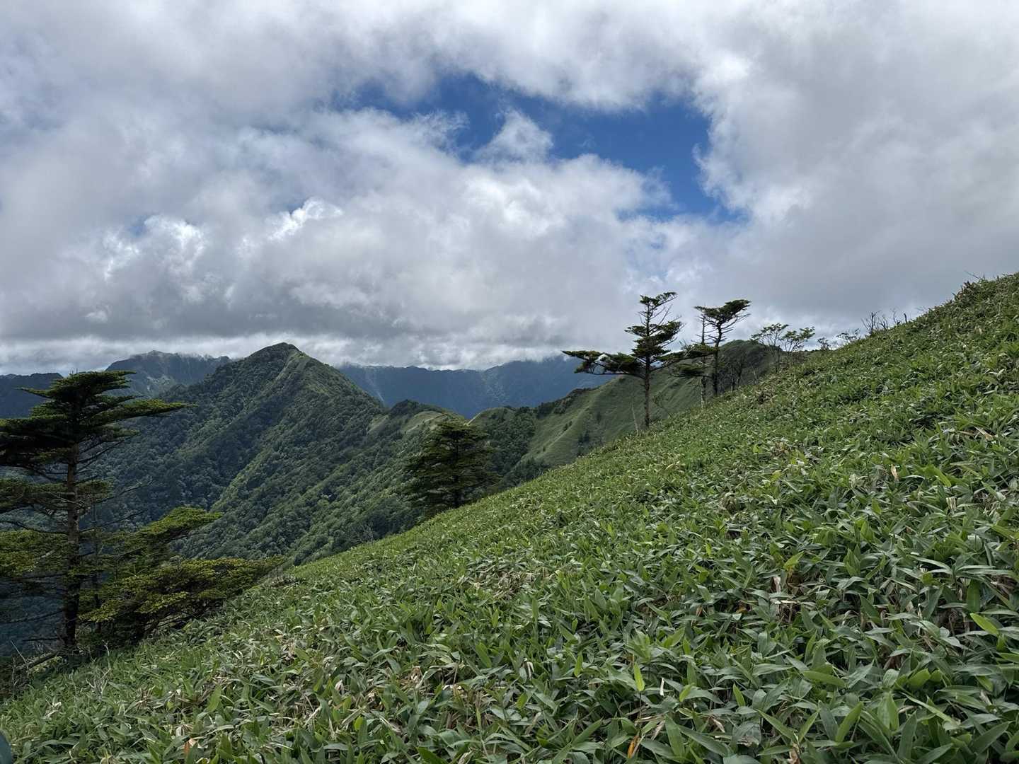 笹ヶ峰南登山口-笹ヶ峰 往復コースの写真
