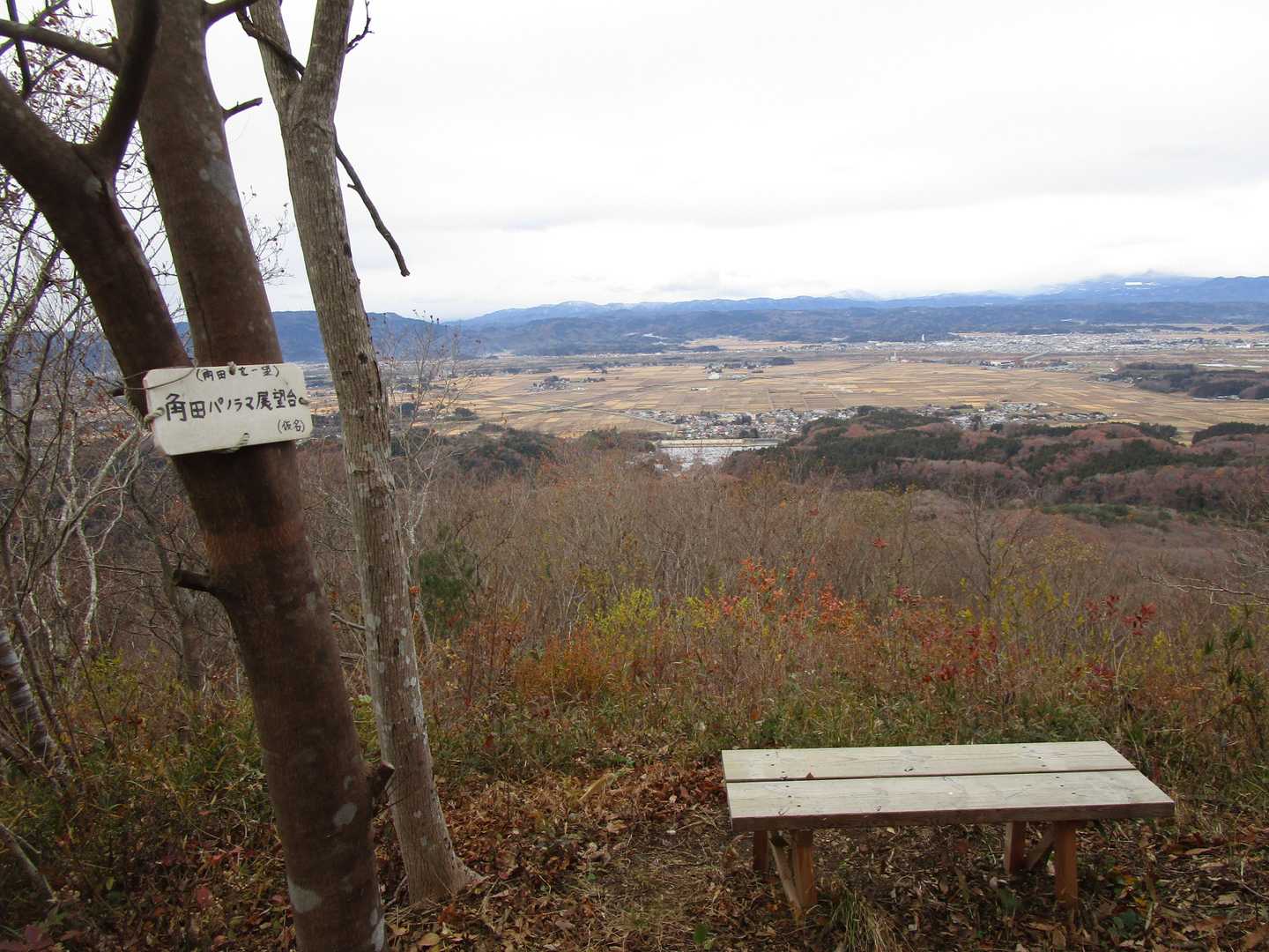 深山自然観察路登山口-鳥越峠-石堂山-お別れ峠-鷹討山 周回コースの写真