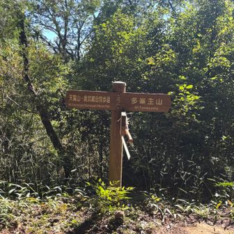 多峯主山への分岐点