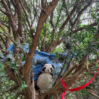 ボスパンダ🐼


悪そうに見える…。