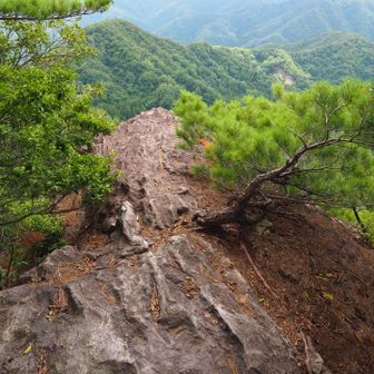 小獅子岩
