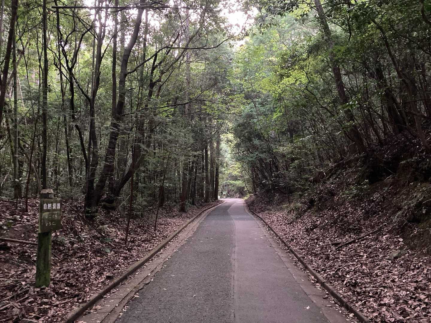 東昌寺-東の宮-猿投山 縦走コースの写真