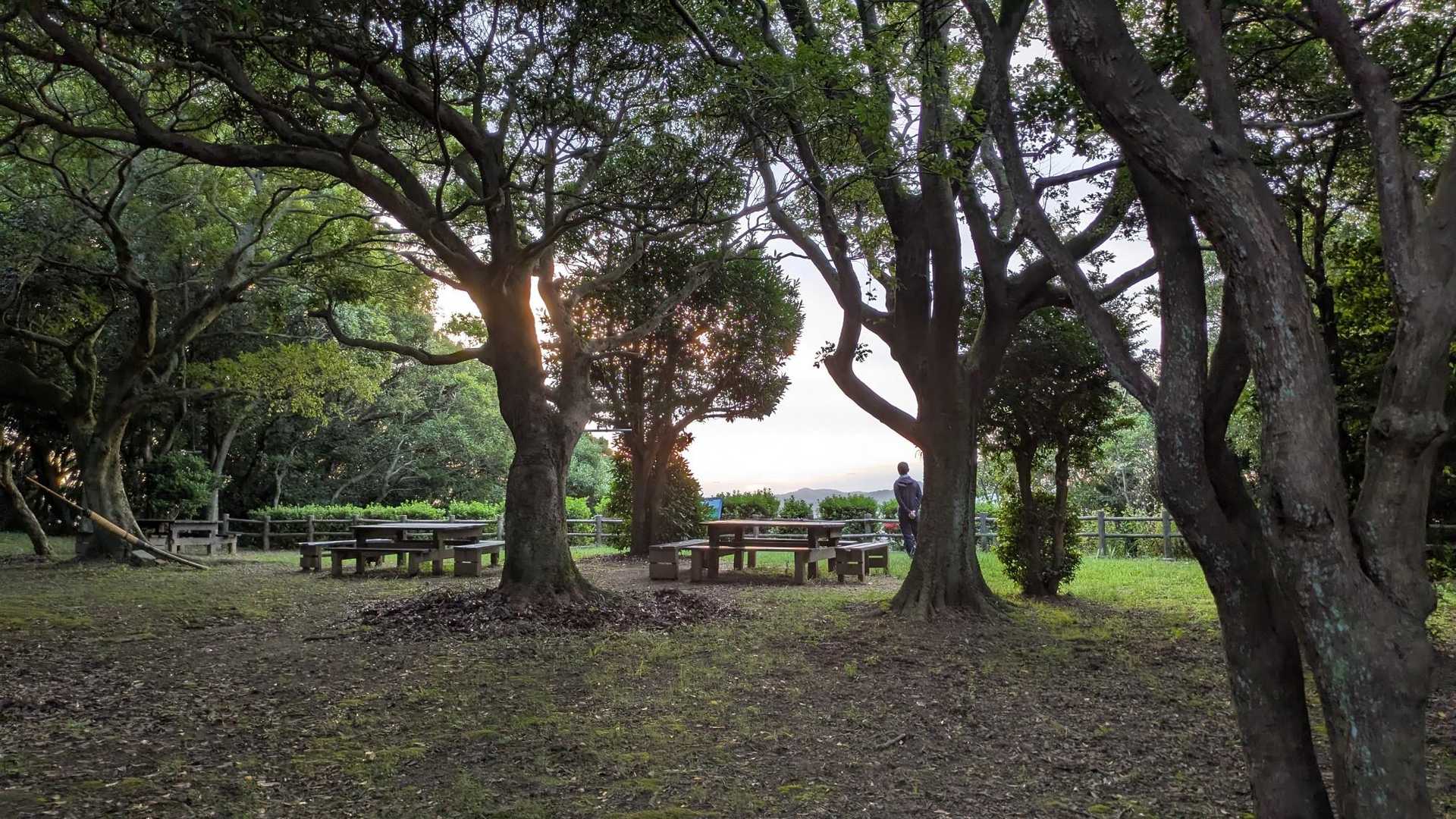 風師山・矢筈山 | 関門海峡を一望、砲台跡めぐる周回コースの写真