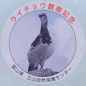 ヤマノススメラレ
