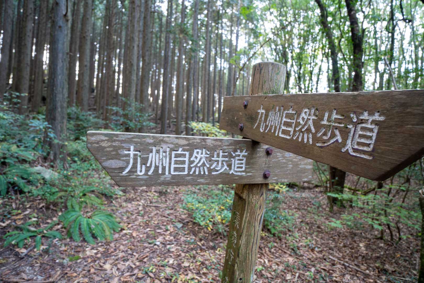 九州自然歩道は好きですよ！