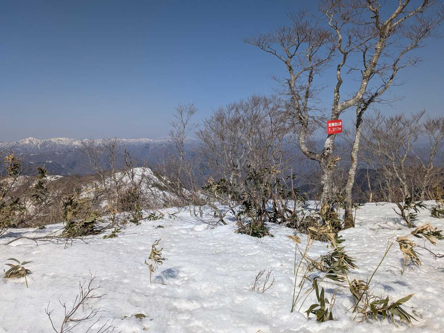 奥山-白倉岳-金糞岳 縦走コースの写真
