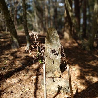 謎の石碑
左の榊？だけ緑が残ってる
誰かが通ってる？