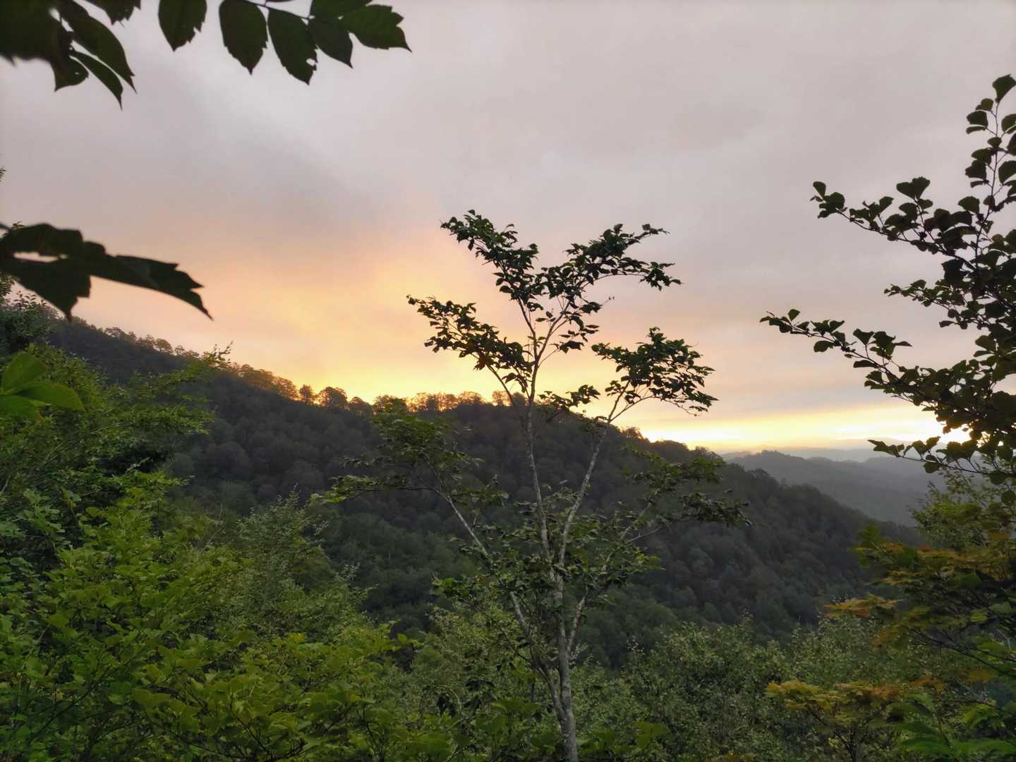 🌄