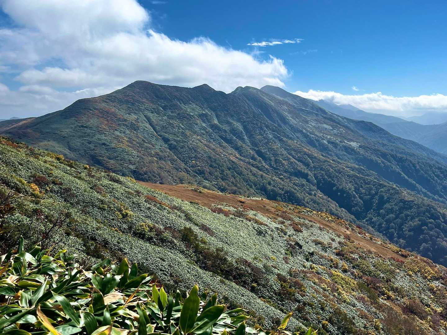 冬にここ(巻機山〜柄沢山)歩きたいんですよね〜
