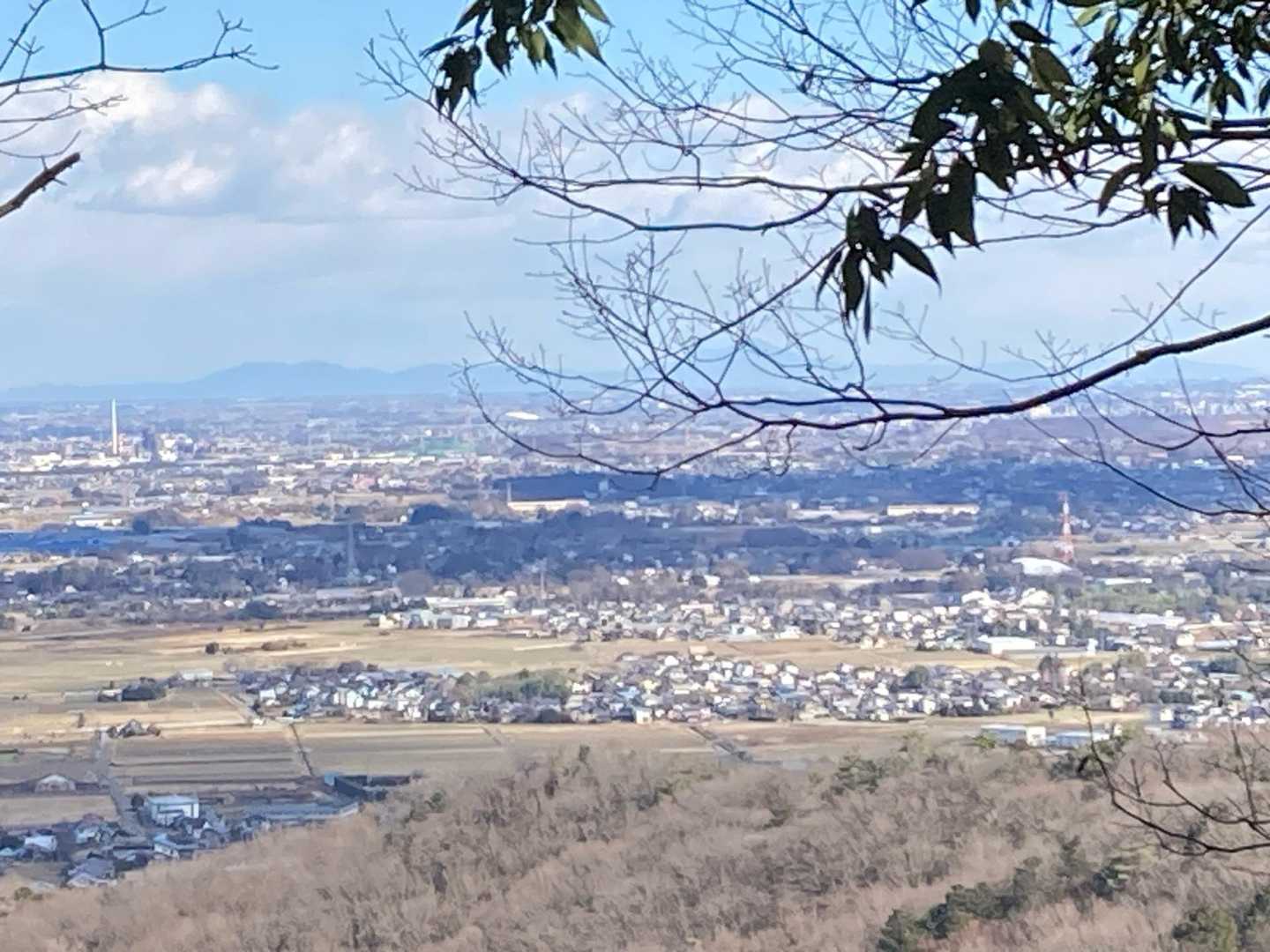 枝で隠れている辺りに筑波山