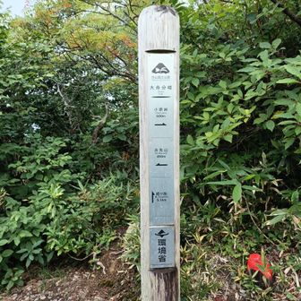 ここから経ヶ岳に行けます